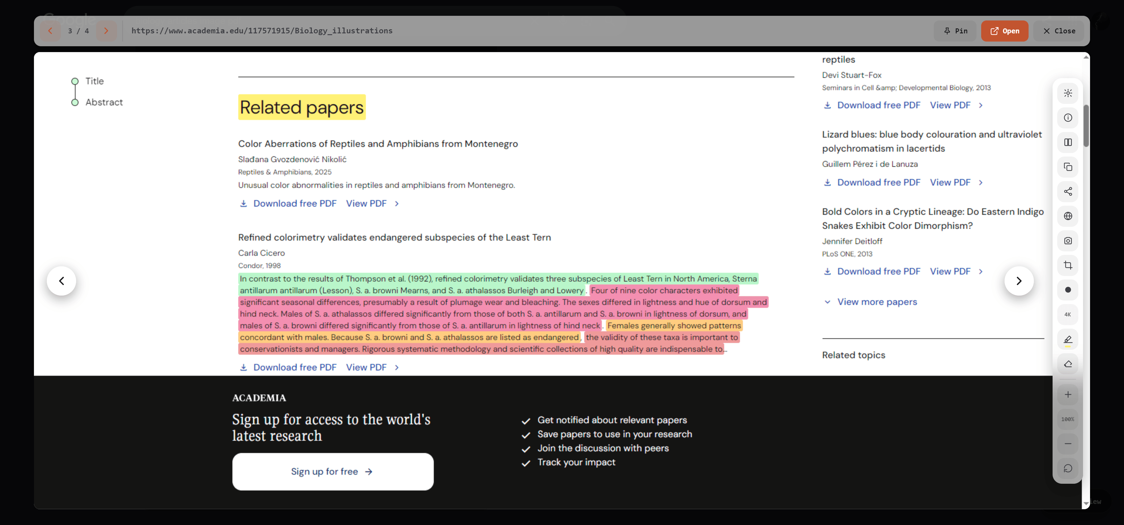 A live Peekly preview card open over a search result, with the highlight tool active